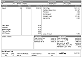 Andica Payroll printed payslip design.